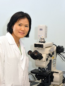 Dr. Kitty SC Fung